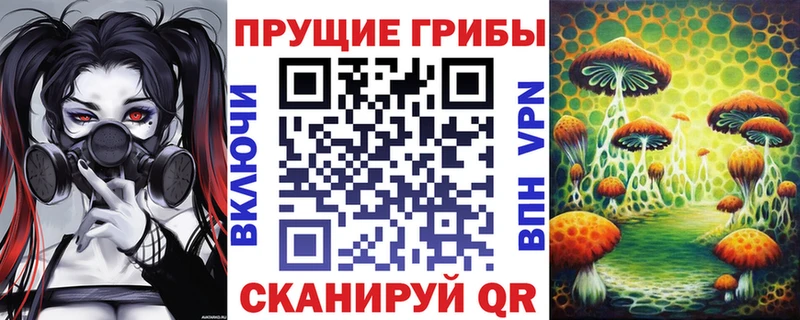 Купить где  Гаврилов-Ям  Псилоцибиновые грибы MAGIC MUSHROOMS 