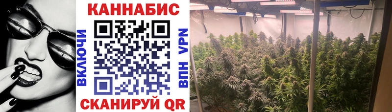 Бошки Шишки тримм  Купить закладки  Гаврилов-Ям 